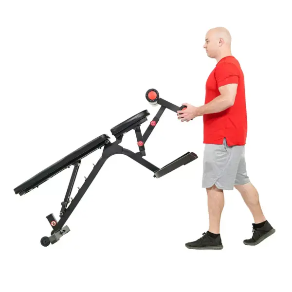 Sunny Health & Fitness Fully Adjustable Utility Weight Bench