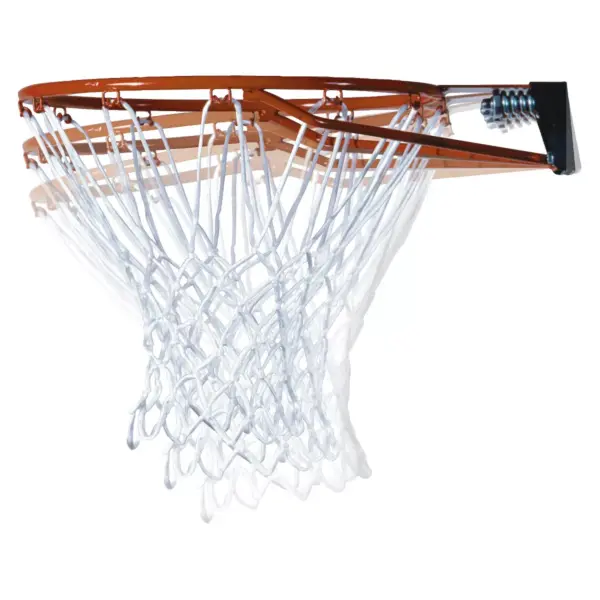 Lifetime Courtside Fusion 50" Basketball Hoop