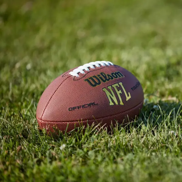 Wilson Touchdown Official Football