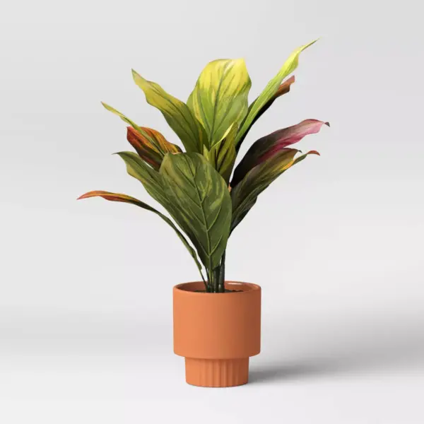 4" Oval Indoor/Outdoor Terracotta Planter Red - Project 62™