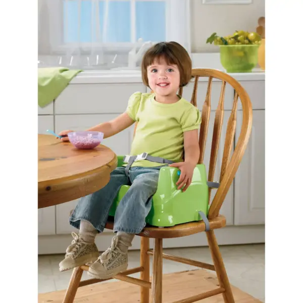 Fisher-Price Healthy Care Booster Seat