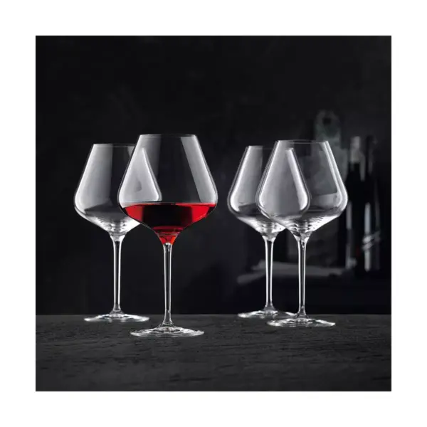 Riedel 98072 Nachtmann ViNOVA 27 Ounce Dishwasher Safe Crystal Balloon Burgundy Red Wine Glass (4 Pack)