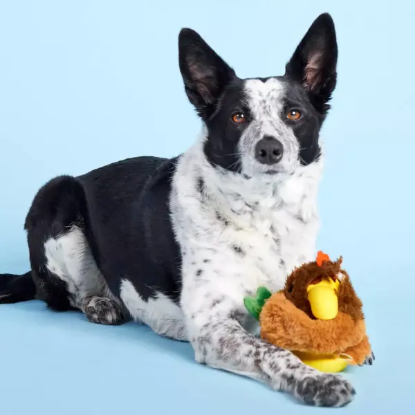 BARK Super Chewer Rooster Dog Toy - Fowl Play