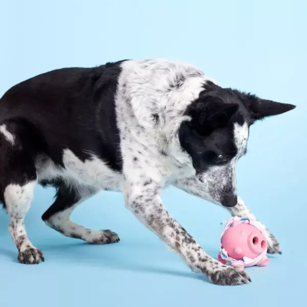 BARK Super Chewer Pig Dog Toy - Hambone