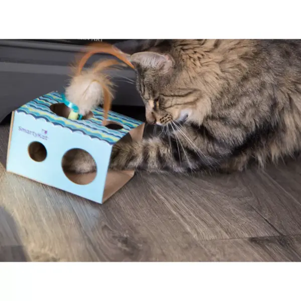 SmartyKat Twirly & Peek Electronic Motion Cat Toy