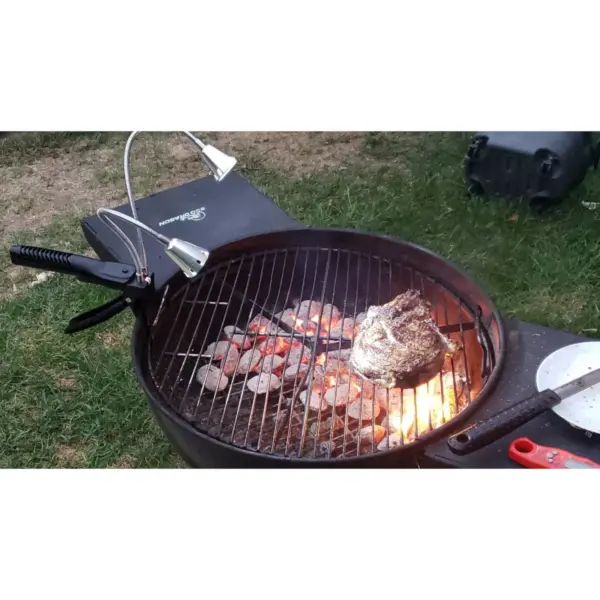 BBQ Dragon Double-Headed Grill Light