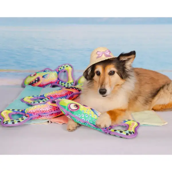 Fuzzu Grab Nabbers Fish Dog Toy