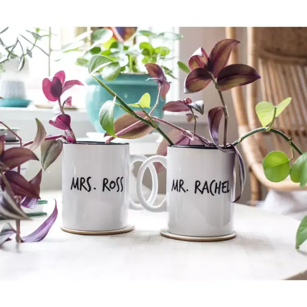 Robe Factory LLC Friends Mr. Rachel Whiskers and Mrs. Ross Moustache Double-Sided Mugs | Set of 2