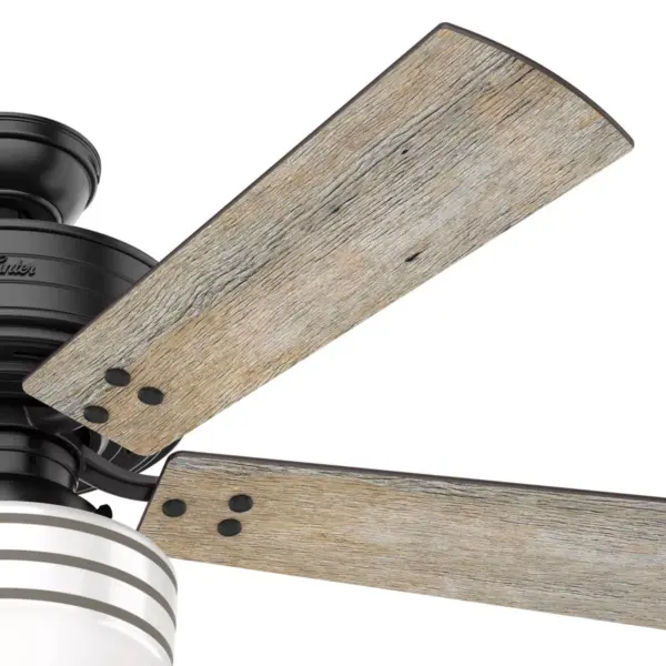 52" Cedar Key Damp Rated Ceiling Fan with Remote Black (Includes LED Light Bulb) - Hunter Fan