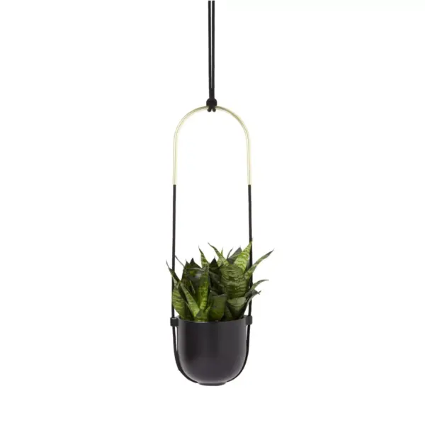 Bolo Planter Black - Umbra