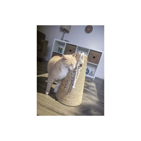 Petlinks Claw Cone Seagrass Cat Scratcher - Tan