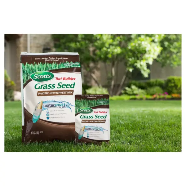 3lb Turf Builder Grass Seed Pacific Northwest Mix - Scotts