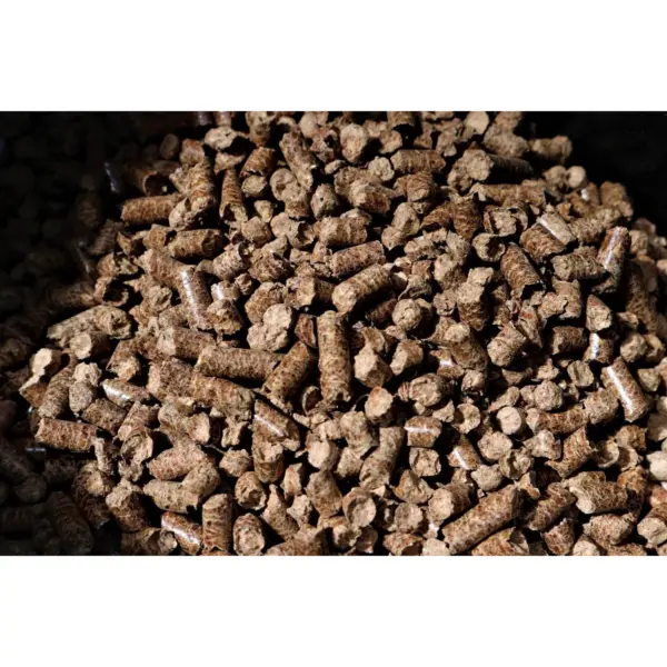 Bear Mountain BBQ 100% Natural Hardwood Pecan Mild Sweet Flavor Pellets for Smokers and Outdoor Grills, 20 Pound Bag