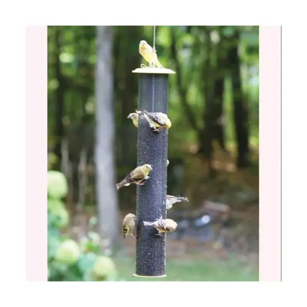 Birds Choice 2-1/4qt Magnet Mesh Tube Finch Feeder