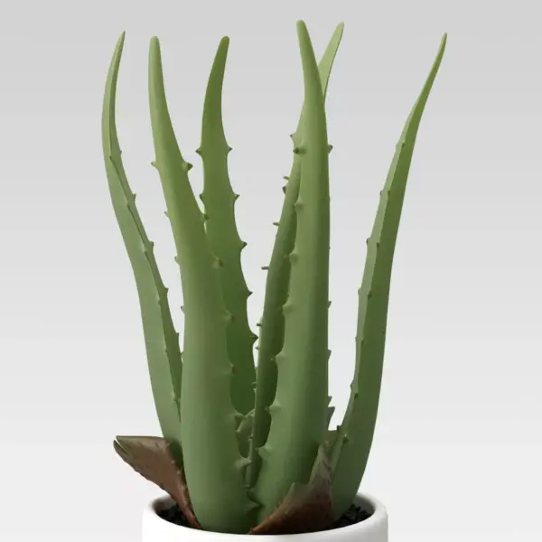 10" x 5" Artificial Aloe Plant Arrangement - Project 62™