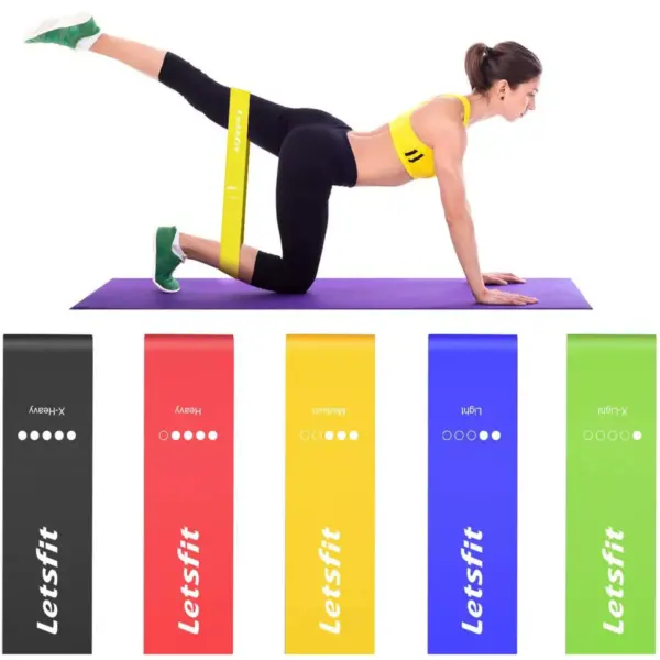 Letsfit Resistance Bands Resistance Exercise Bands for Home Fitness Stretching, Strength Training, Pilates Flex Bands and Home Workouts  12" x 2" - JSD01-5P