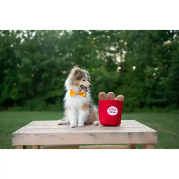 ZippyPaws Burrow Bucket of Chicken Dog Toy