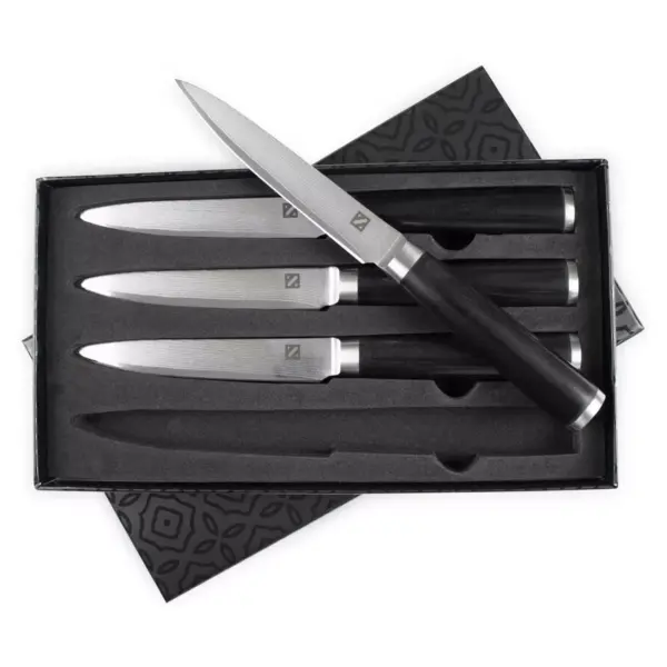 Zelancio Premium 4 Piece Japanese Steel Professional Chef Knife Set with High Carbon VG-10 Core and 67 Layer Damascus Steel, Wooden Handle