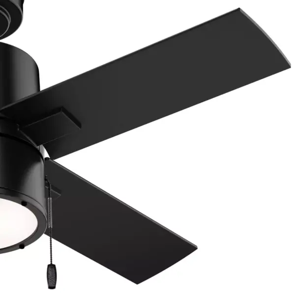 42" Beck Ceiling Fan Black (Includes LED Light Bulb) - Hunter Fan