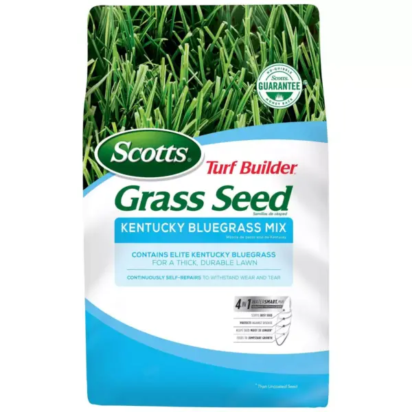 Scotts Turf Builder Kentucky Bluegrass Mix Grass Seeds - 7lb