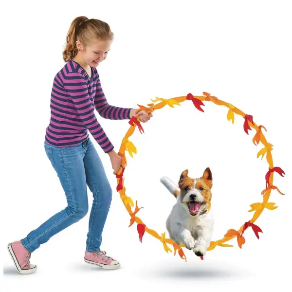 MindWare Dog Lover's Set Of 2 - Creative Activities