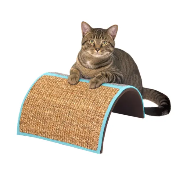 Cat Wave Scratcher - Boots & Barkley™