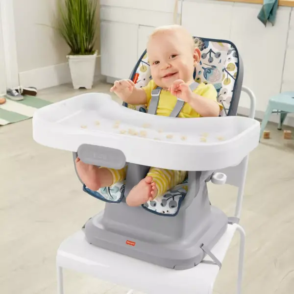 Fisher-Price SpaceSaver High Chair