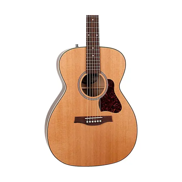 Seagull Coastline CH Momentum HG Acoustic-Electric Guitar Natural