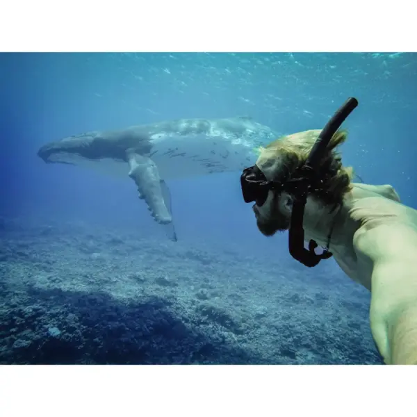 GoPro Blue Water Snorkel Filter (HERO5  - Black (AACDR-001)