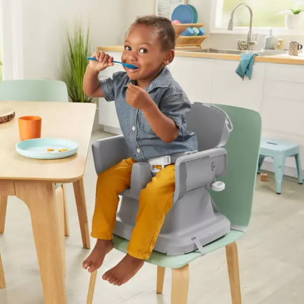 Fisher-Price SpaceSaver High Chair