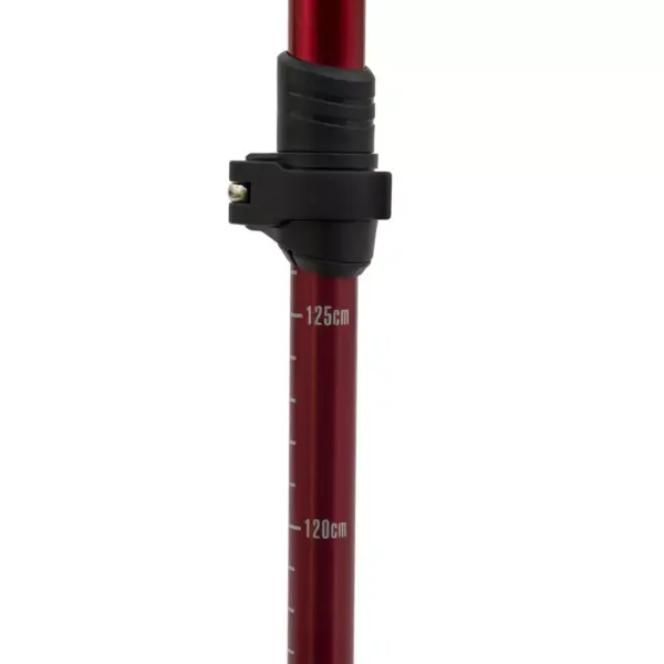 ALPS Mountaineering Conquest Trekking Pole