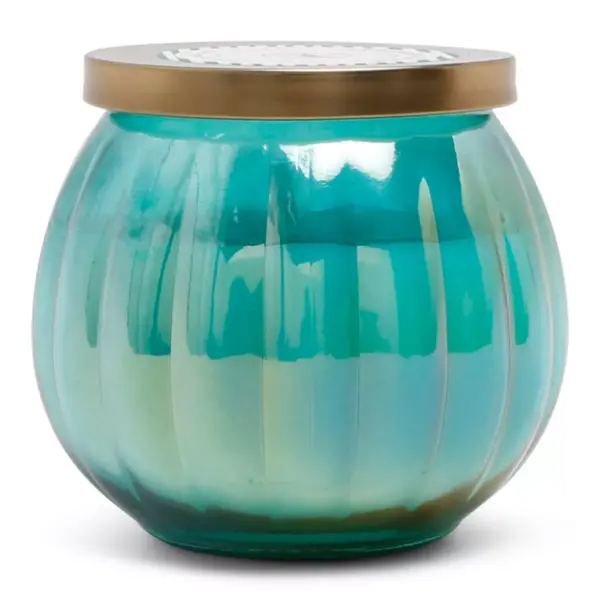 14oz Lidded Glass Jar Candle Driftwood & Sea Salt - Fresh Collection - Opalhouse™