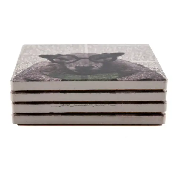 Thirstystone Animal Print Coasters Set of 4 - Intelligent Sheep