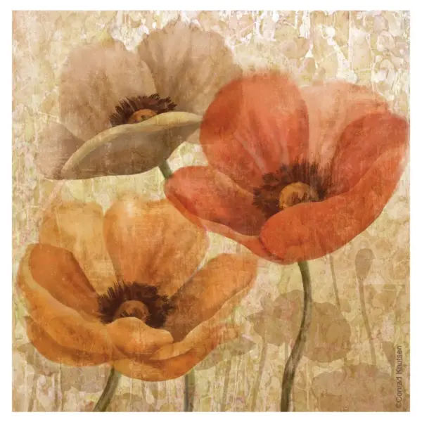 Thirstystone Poppy Allure 4 Piece Occasions Coaster Set