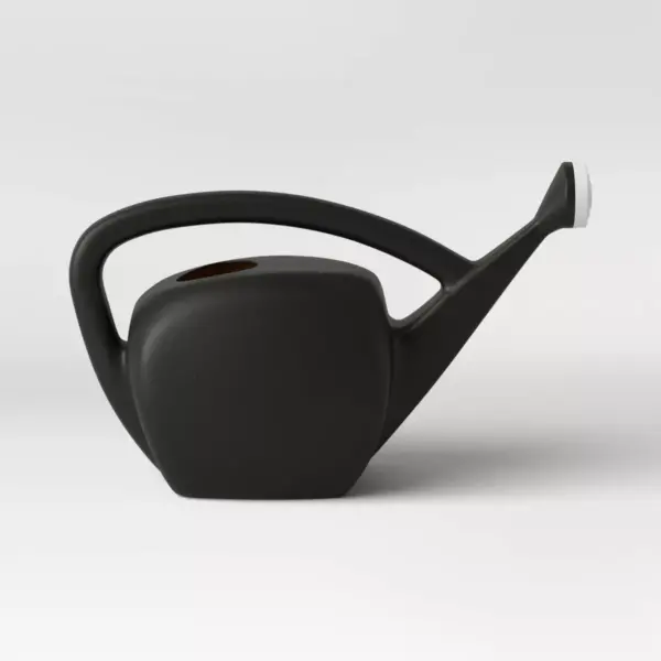 2gal Novelty Watering Can Black - Room Essentials™