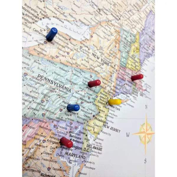 National Geographic Educational Art - USA Map with Flags