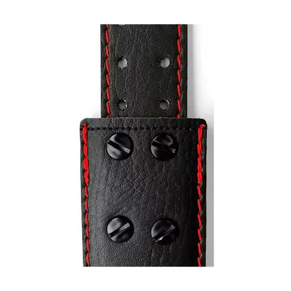 RICHTER Gary Holt Artist Series 1576GH-II Guitar Strap Black/Red 2.36 in.