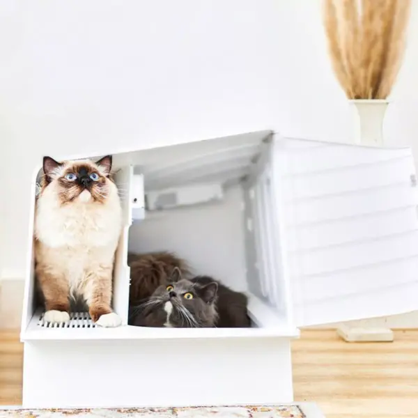 PETKIT Pura Villa Litter Box