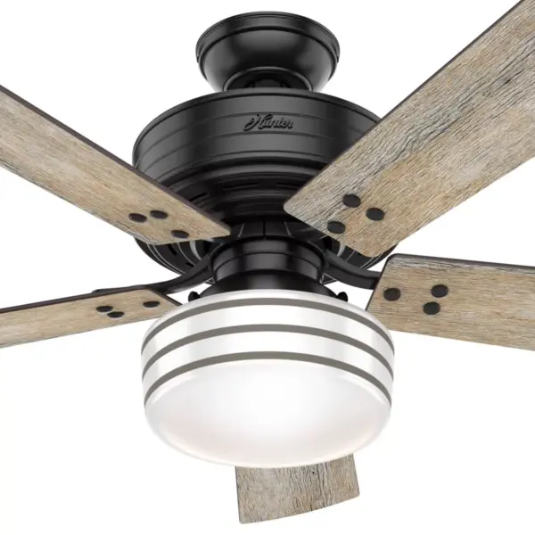 52" Cedar Key Damp Rated Ceiling Fan with Remote Black (Includes LED Light Bulb) - Hunter Fan