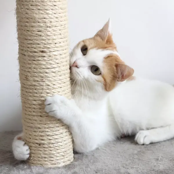 Pet Pal Cat 4-Tier Kitty Condo and Scratching Post