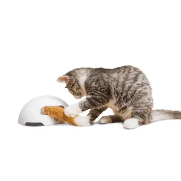 Premier Pet Fox Den Automatic Cat Toy - White