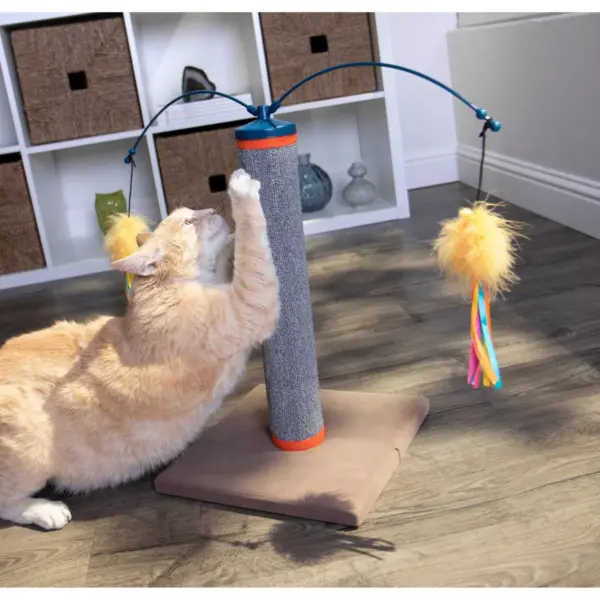 SmartyKat Scratch and Spin Carpet Cat Scratcher Wand - 2pk