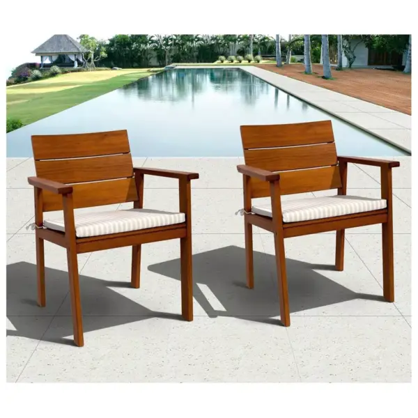 Nelson 2pc Patio Eucalyptus Wood Dining Chair Set - International Home Miami