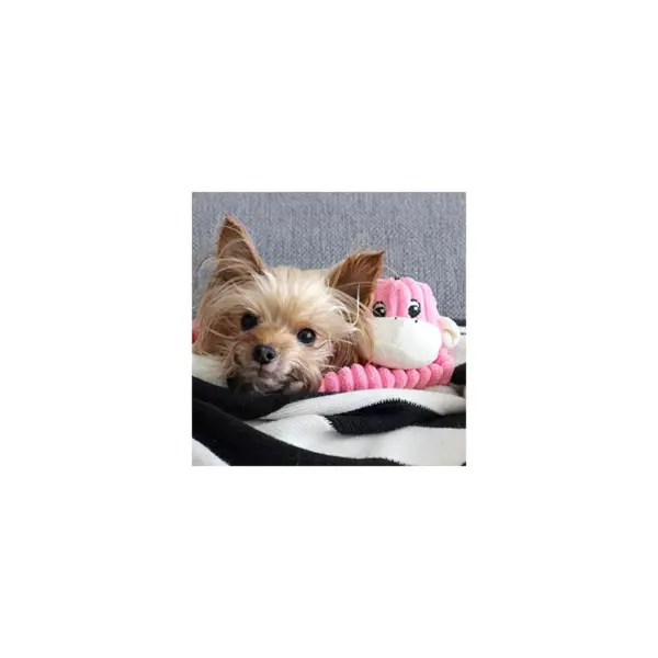 ZippyPaws - Spencer The Crinkle Monkey Dog Toy, Squeaker and Crinkle Plush Toy - Pink, Small