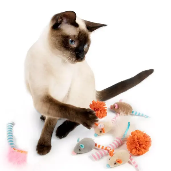 SmartyKat Birthday Bundle Cat Toy