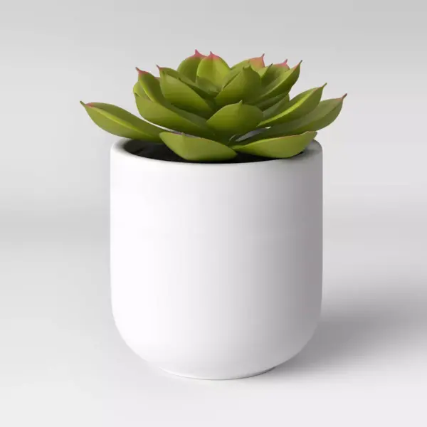 Small Succulent in Ceramic Pot - Threshold™