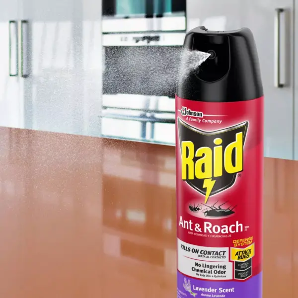 Raid Ant & Roach Killer 26 - Lavender Scent - 17.5oz