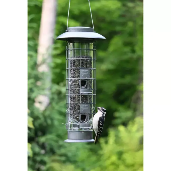 Droll Yankees Squirrel X4 Proof Bird Feeder - Gunmetal