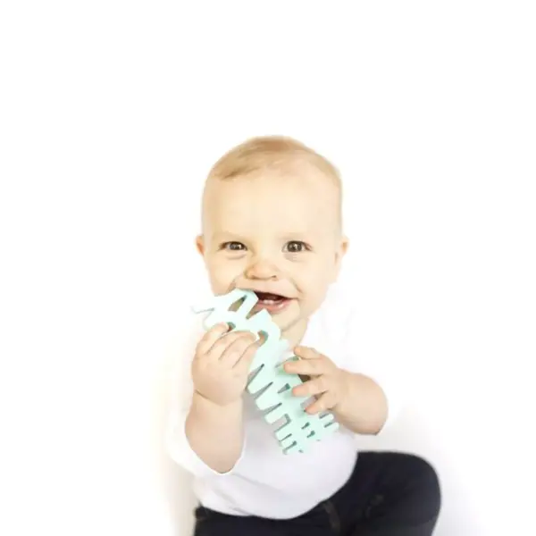 Hudson & Heart Company #Hangry Teetheword Baby Teether - Mint 2.7oz