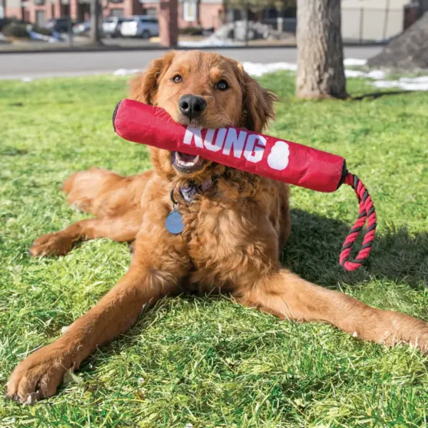 KONG Signature Stick Dog Toy - Red